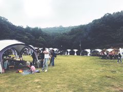 -龙寺生态园