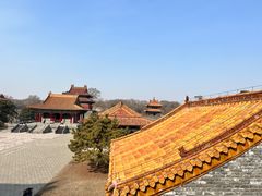 -北陵公园