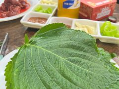 -西塔隆太白烤牛肉馆(图们路店)