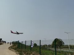 -空港花田景区