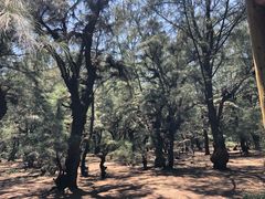 -北海金海湾红树林生态旅游区