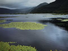 -腾冲北海湿地