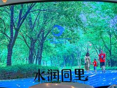 -同里国家湿地公园
