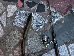 -蓝天路(地铁站)