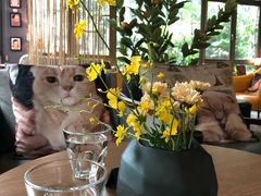 -咖法森林·咖啡  酒吧(天河店)