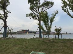 -春花秋色城市公园