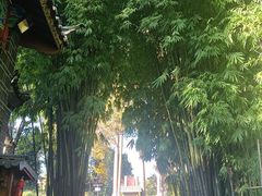 -黑龙潭公园