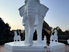 -清迈夜间动物园