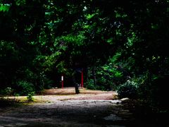 -大芦花风景区