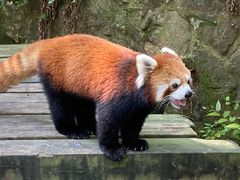 -杭州动物园