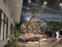 -自贡恐龙博物馆