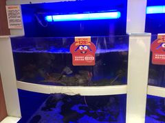 水产区-七欣天香辣蟹火锅(无锡金太湖国际城店)