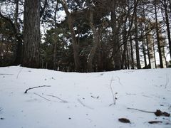 -长春市南湖公园