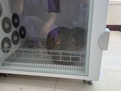 -北京观赏动物医院·24小时大型综合·猫专科·异宠专科