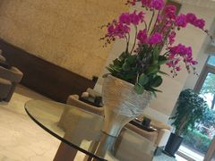 -上海外滩茂悦大酒店