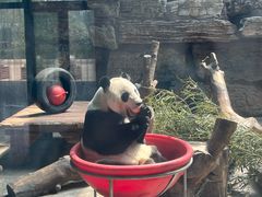 -石家庄市动物园