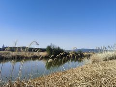 -良渚古城遗址公园