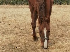 -汉长安城未央宫国家考古遗址公园