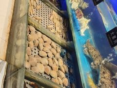 -SEA西雅图海鲜自助餐厅(海乐世界店)