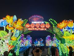 -海合安成都极地海洋公园