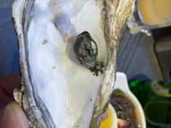 -钱锋炭缸烧烤(南湖大路总店)