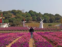 -松山湖南湖湾露营营地