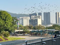 -深圳野生动物园