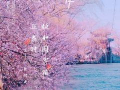 -颐和园