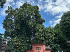 -成都市文殊院