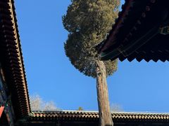 -恭王府博物馆