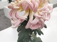 -共青国家森林公园-售票处
