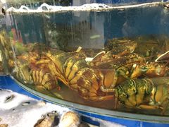-渔中舟海鲜大排档(普陀沈家门店)