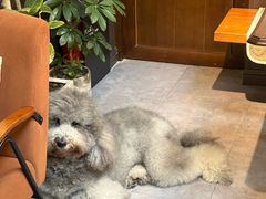 -沏点Trattoria意大利餐厅(新街口店)