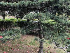 -白塘生态植物园