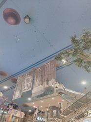 -卡通尼·Safari非洲探索乐园·生日会(金桥国际商业广场店)