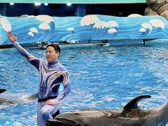 -海合安成都极地海洋公园