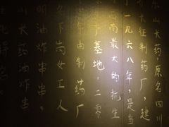 -长药唐师乐山油炸(石人直营店)