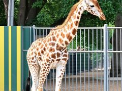 -泉州海丝野生动物世界