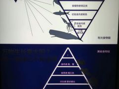 -同济大学四平路校区深海探索馆