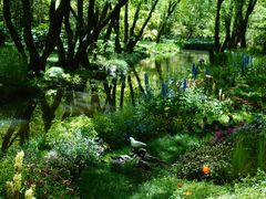 -上海共青森林公园