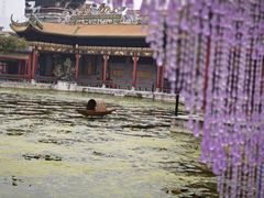 -宝墨园景区