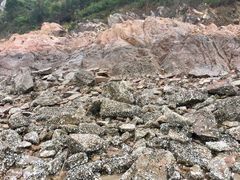 -北岐滩涂