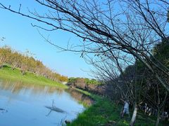 -上海海湾国家森林公园