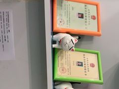 -瑞派先诺宠物医院•猫专科•普外科•中兽医(佛山院)