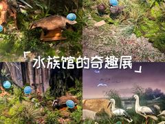 -湖南省地质博物馆