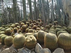 -南山植物园