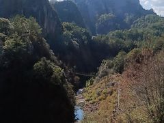 -冠豸山景区