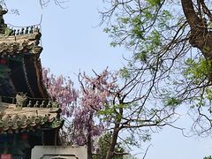 -北京国子监胡同