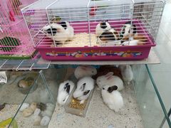 -三旗百汇商品城