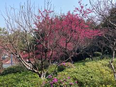 -乌山风景区